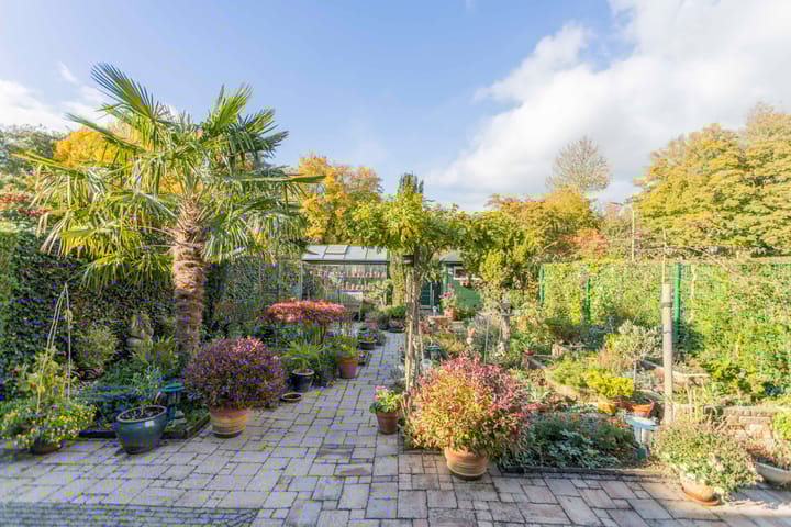 Foto 37 van Kooimeerstraat 1