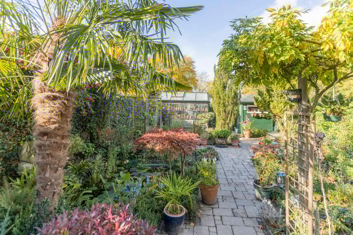 Foto 39 van Kooimeerstraat 1