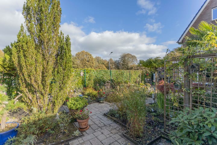 Foto 44 van Kooimeerstraat 1