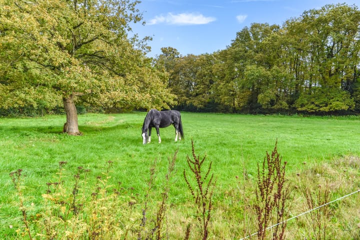 Foto 49 van Jagerspad 33