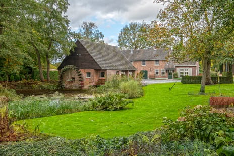 undefined main image