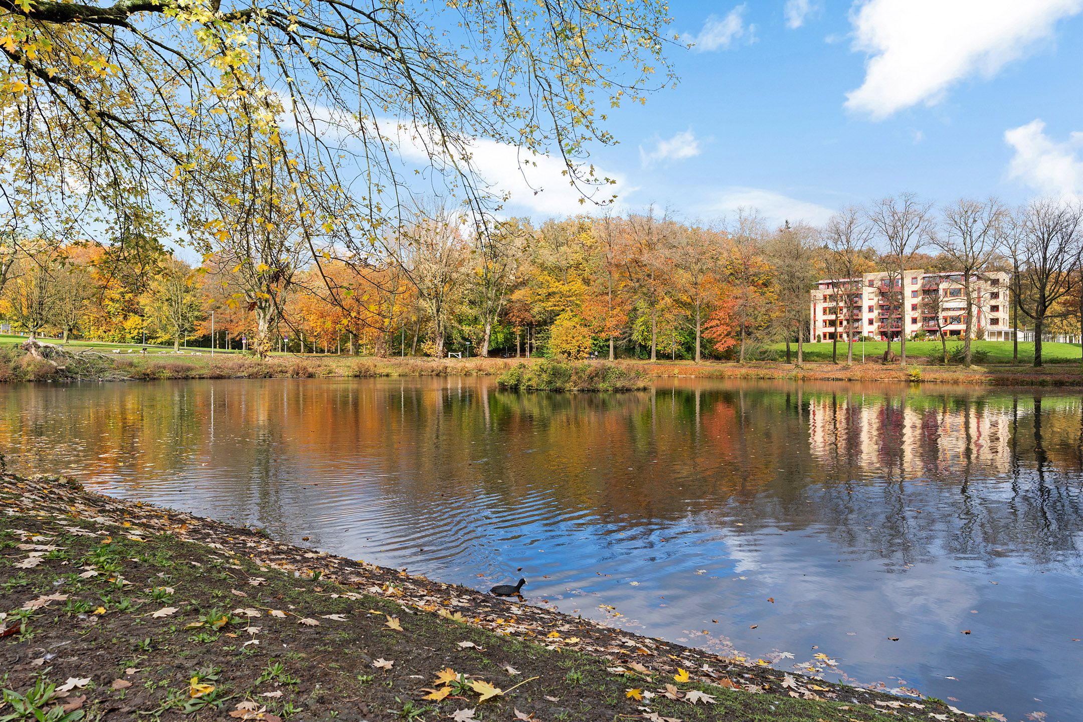 Foto 36 van Vijverlaan 1-22