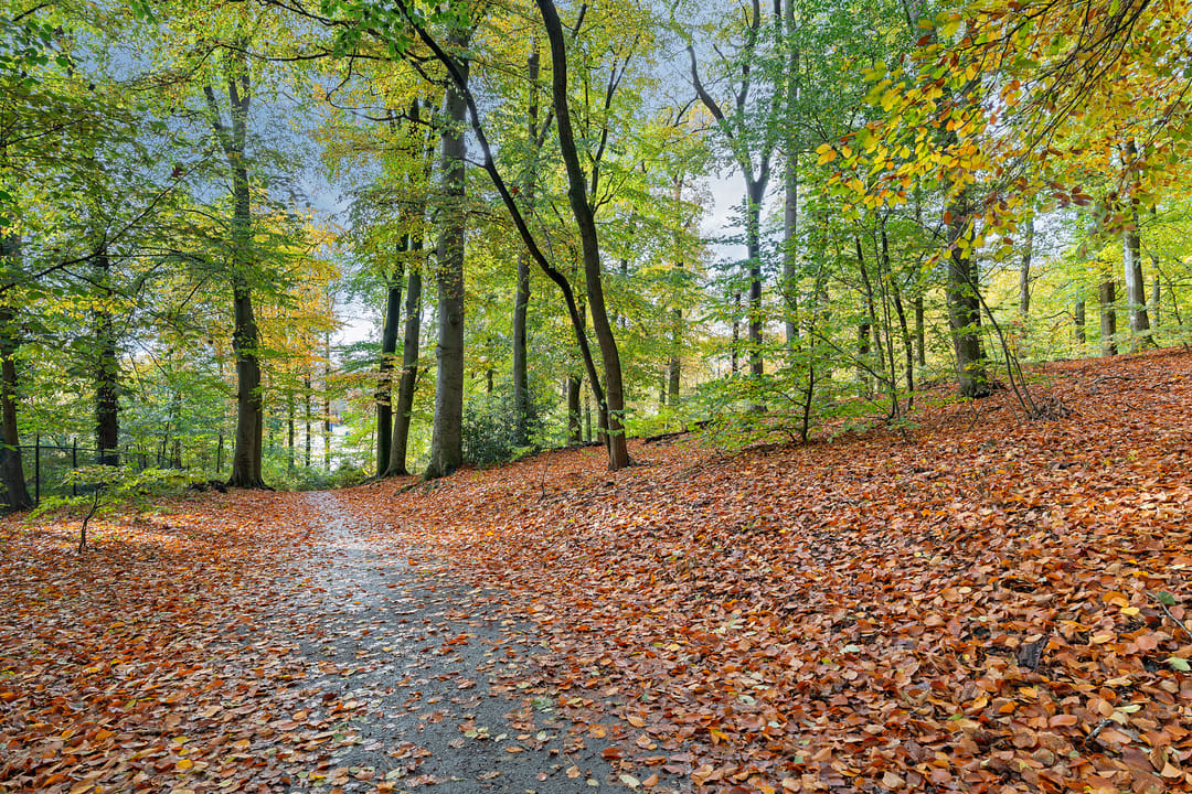 Foto 37 van Vijverlaan 1-22