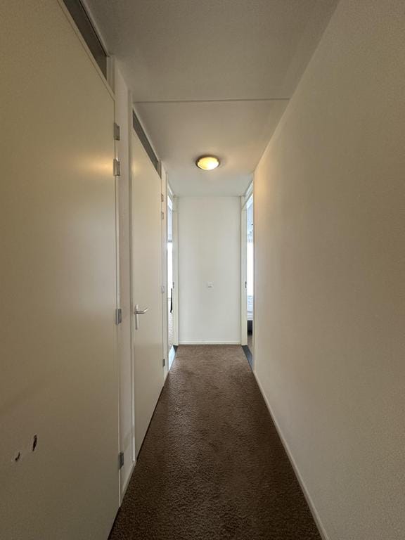 Foto 7 van Raadhuisstraat 253-B