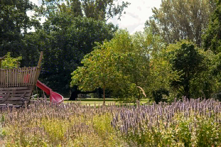 Photo 34 of Rijnstraat 234