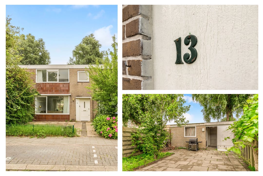 Foto 2 van Professor Hugo de Vriesstraat 13