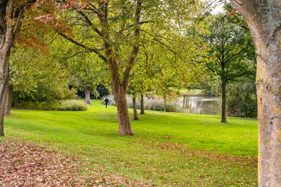 Photo 56 of Bergweg-noord 1