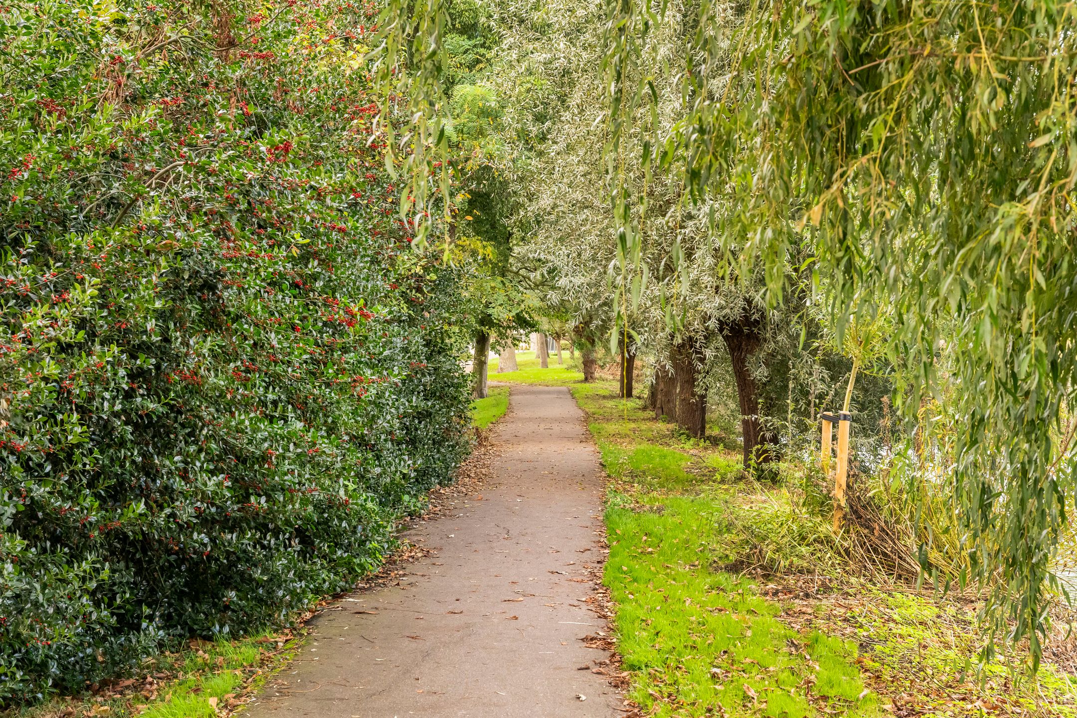 Photo 57 of Bergweg-noord 1
