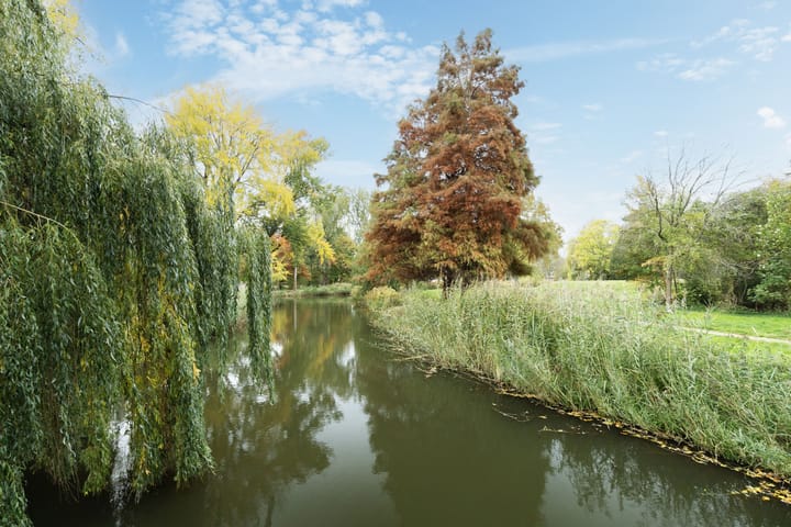 Photo 24 of Burgemeester de Zeeuwstraat 426