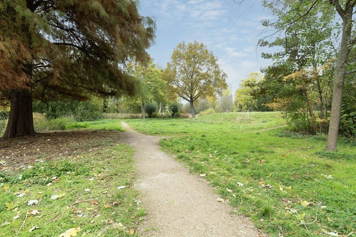 Photo 25 of Burgemeester de Zeeuwstraat 426