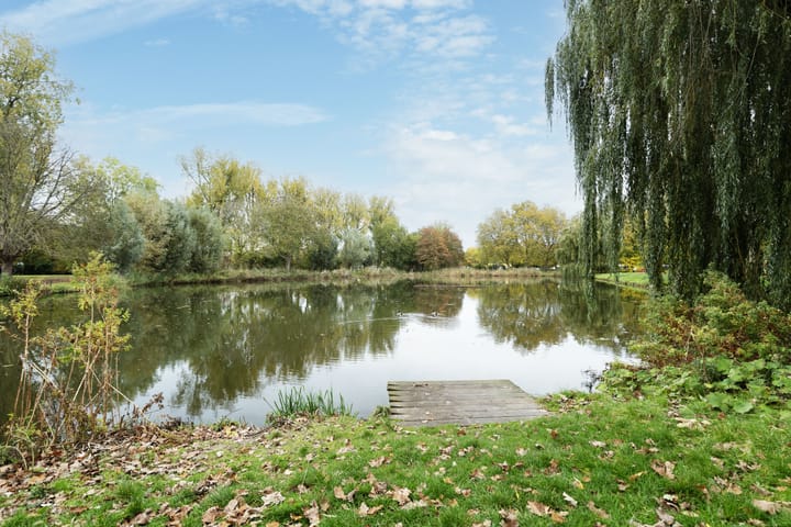 Photo 26 of Burgemeester de Zeeuwstraat 426