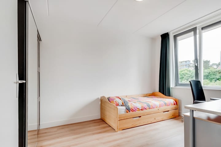 Photo 19 of Duivenhorst 8