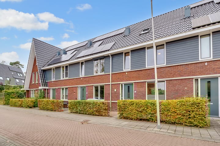 Photo 44 of Duivenhorst 8