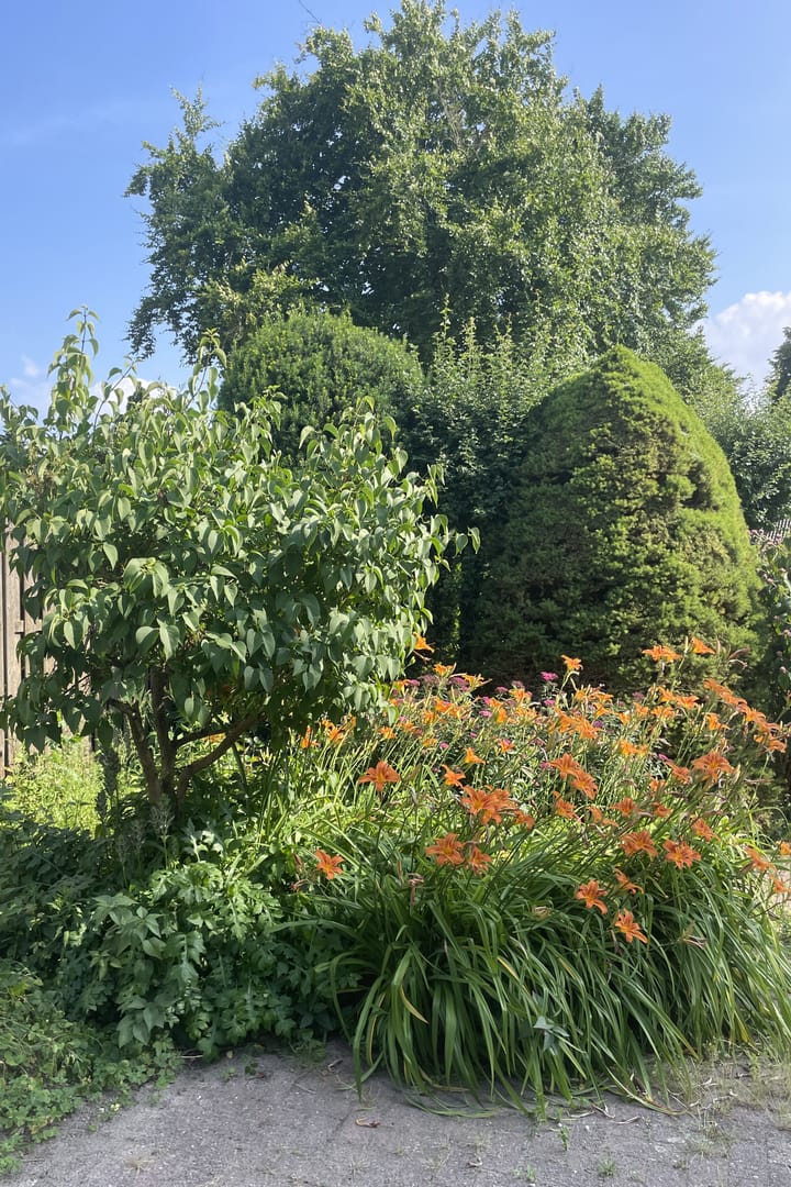 Foto 29 van Dorpstraat 8