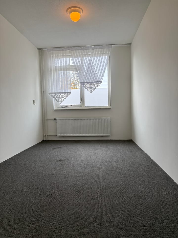 Foto 9 van Botter 40 14