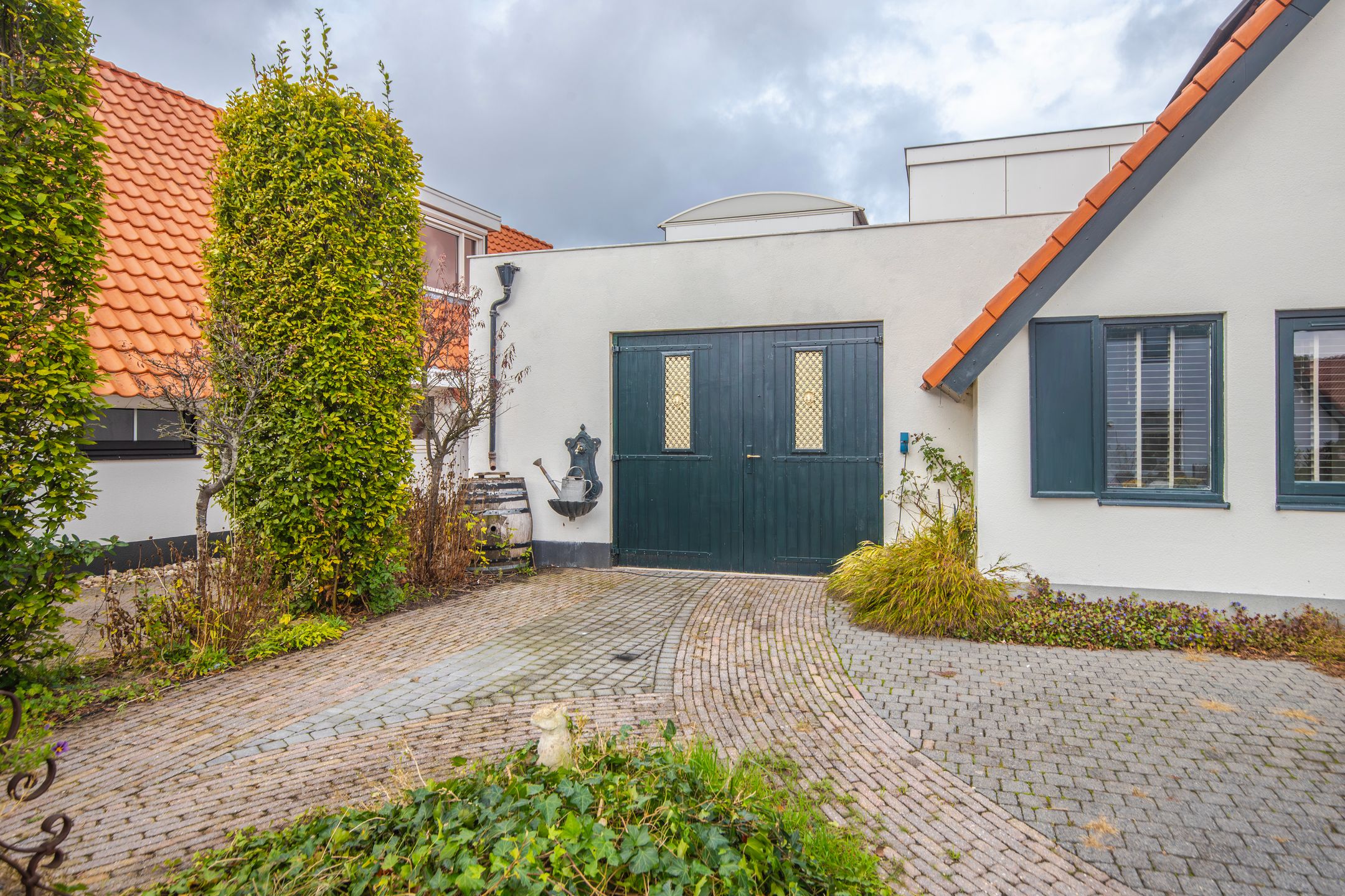 Photo 6 of IJsvogel 19