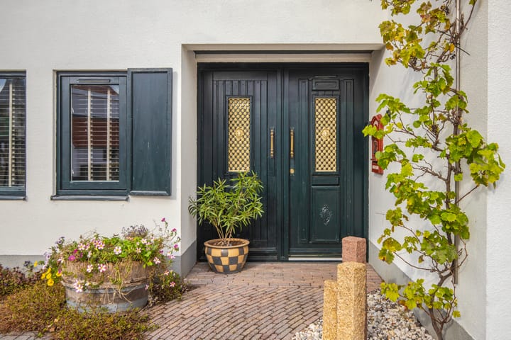 Photo 7 of IJsvogel 19