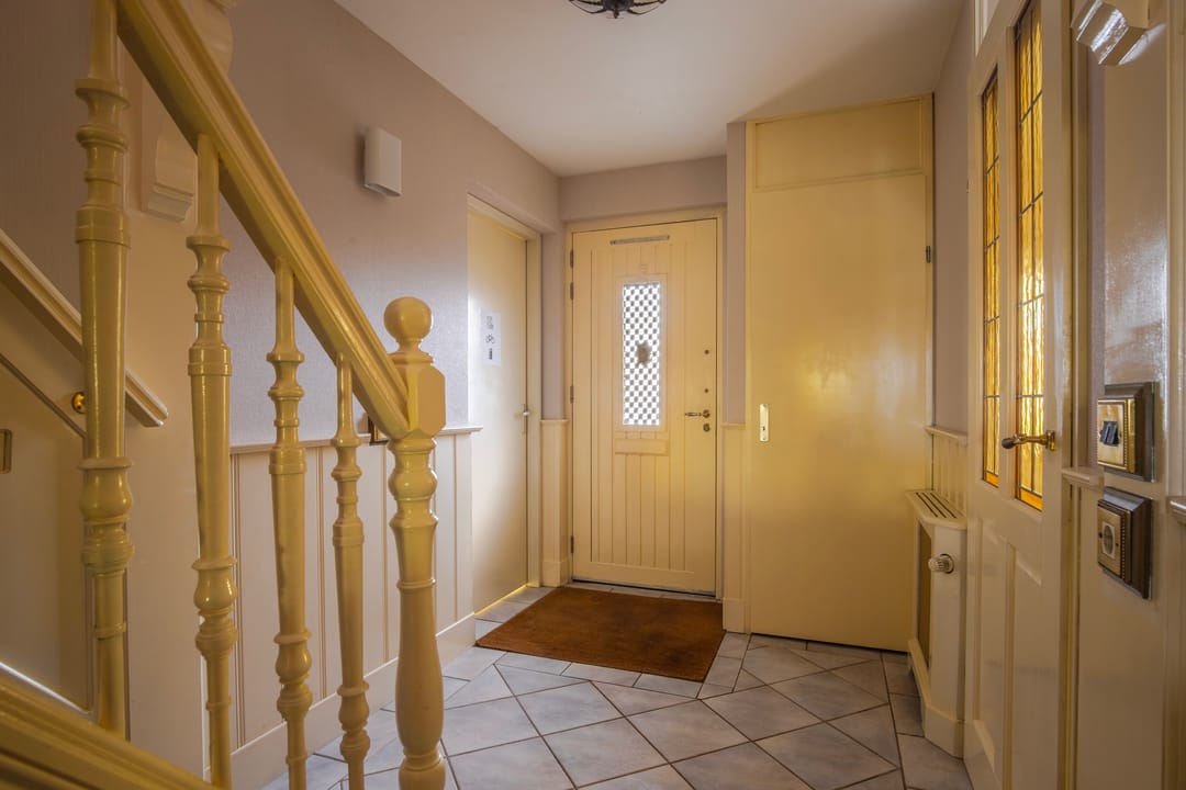 Photo 8 of IJsvogel 19