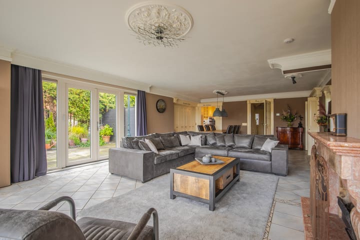 Photo 12 of IJsvogel 19