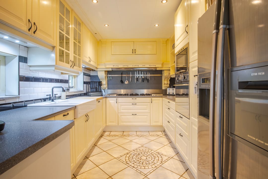 Photo 17 of IJsvogel 19