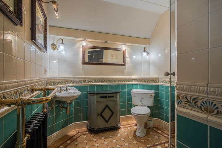 Photo 20 of IJsvogel 19