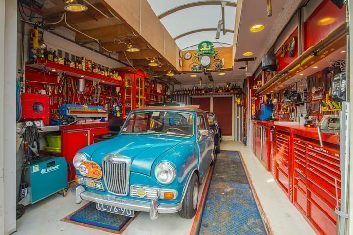 Photo 23 of IJsvogel 19