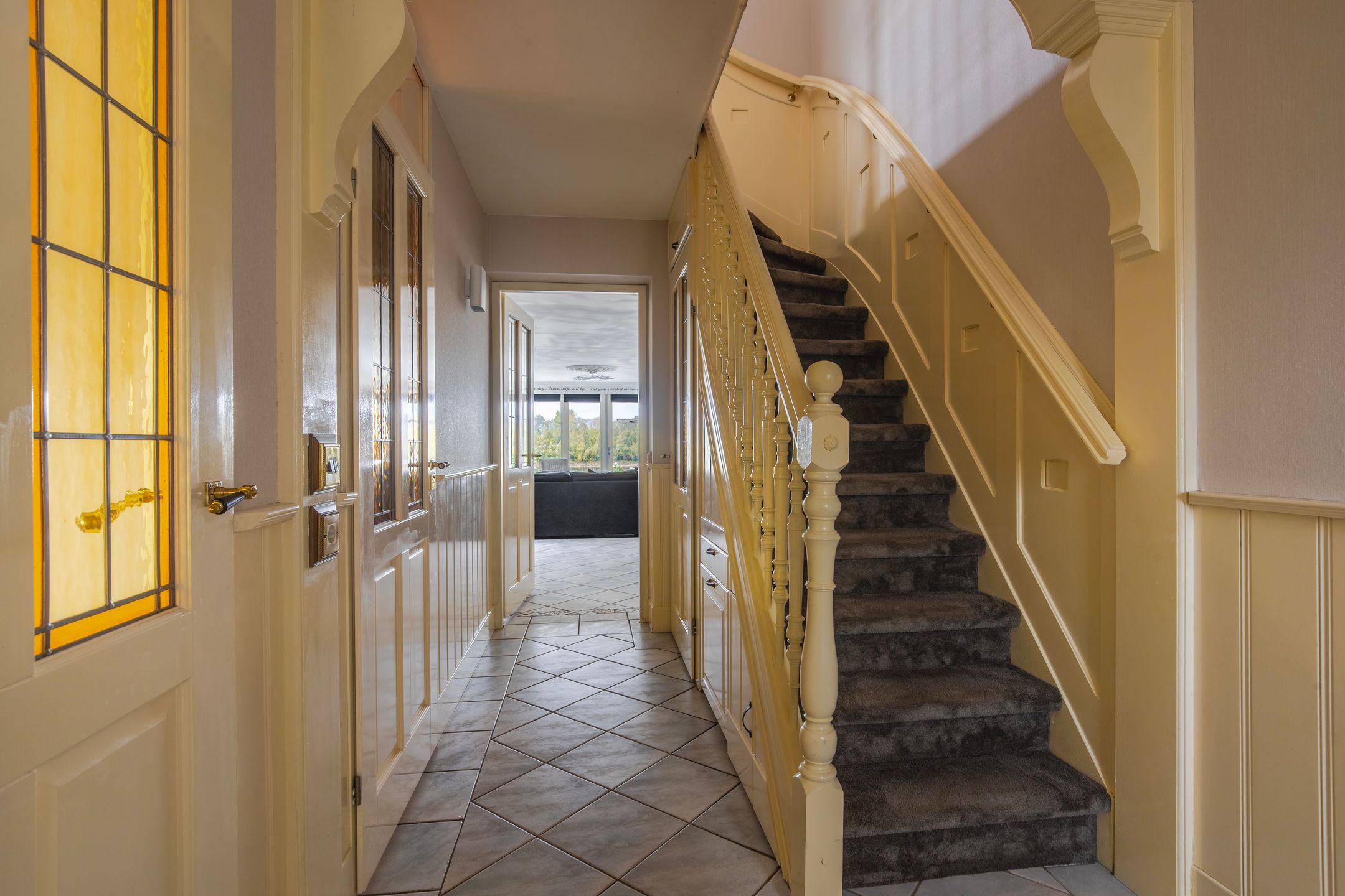 Photo 24 of IJsvogel 19