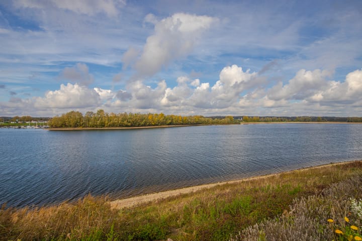 Photo 37 of IJsvogel 19