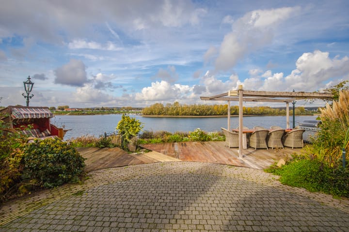 Photo 38 of IJsvogel 19