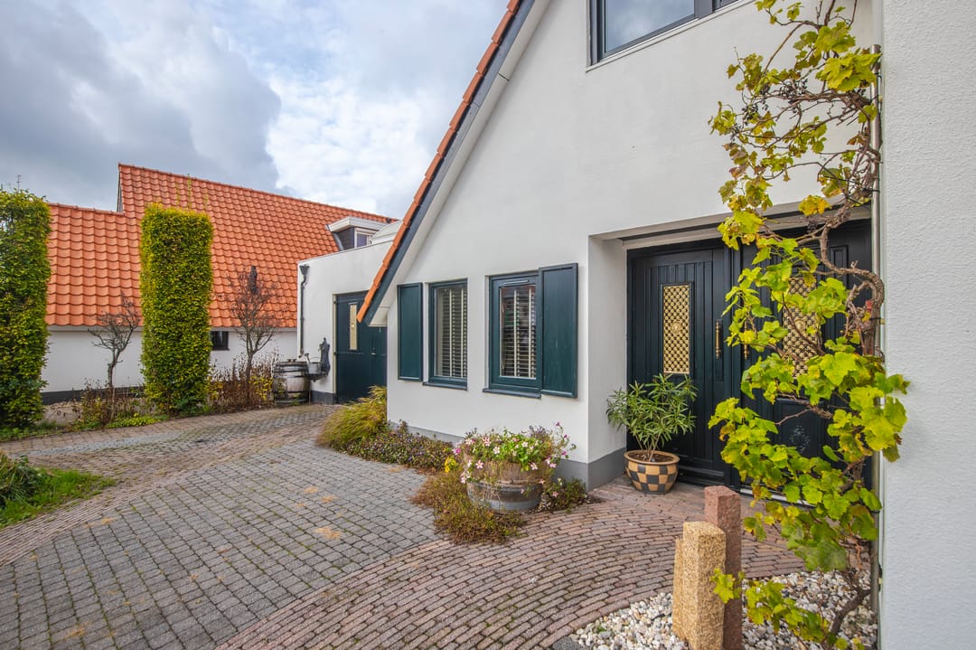 Photo 43 of IJsvogel 19