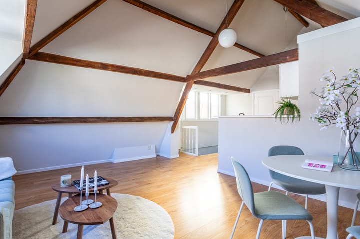 Foto 10 van Van Swietenstraat 145-D