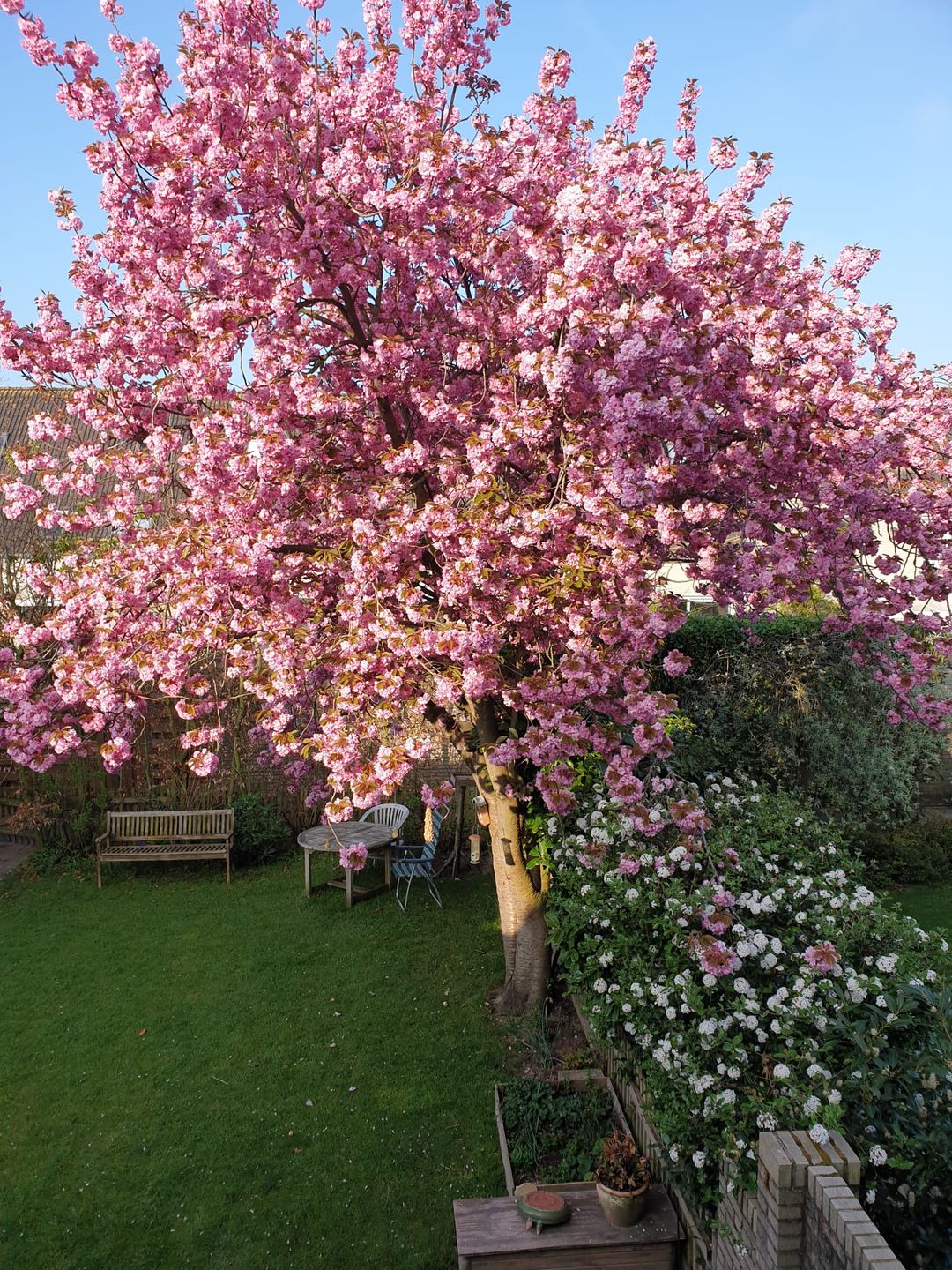 Foto 17 van Simon Vestdijkstraat 38