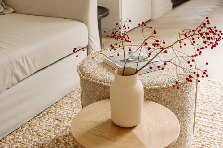 Foto 6 van Govert Flinckstraat 262-1