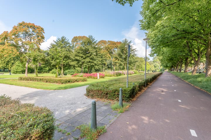 Photo 38 of Stadhoudersweg 119-A