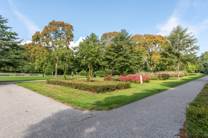 Photo 39 of Stadhoudersweg 119-A