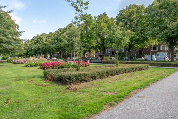 Photo 40 of Stadhoudersweg 119-A