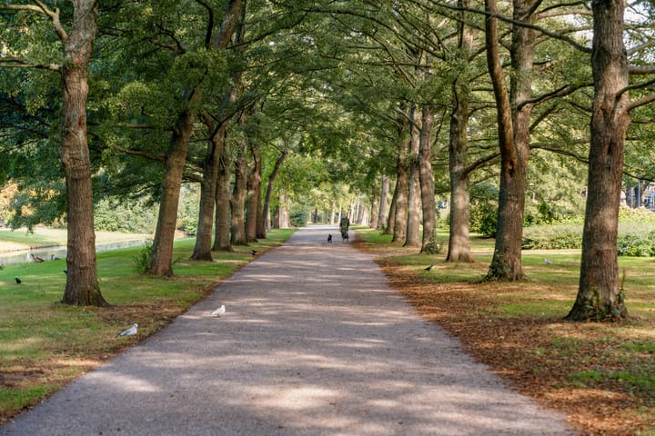 Foto 31 van Sourystraat 20-B