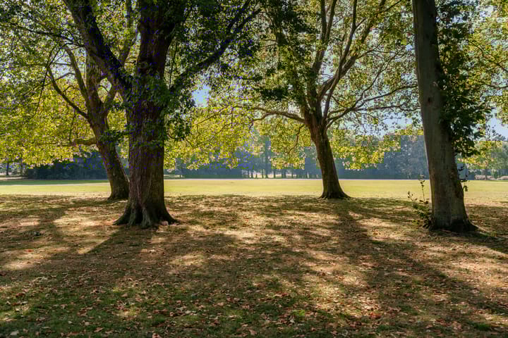 Foto 32 van Sourystraat 20-B