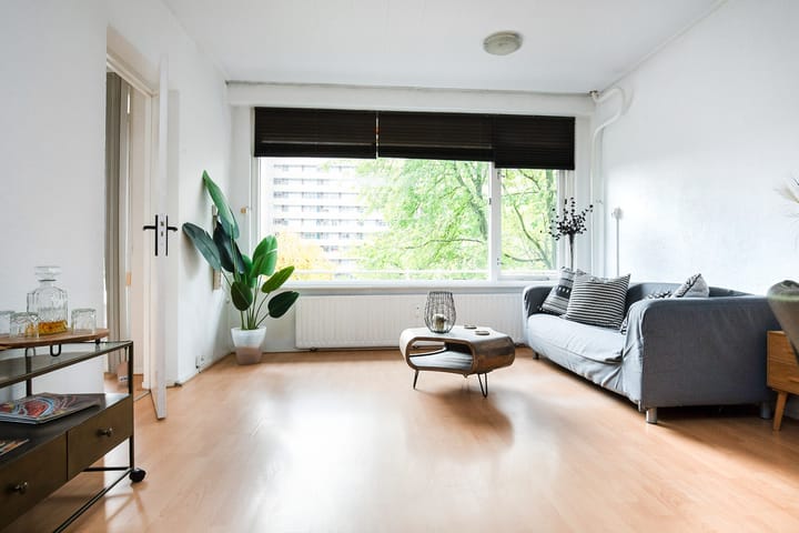 Foto 3 van Langswater 831