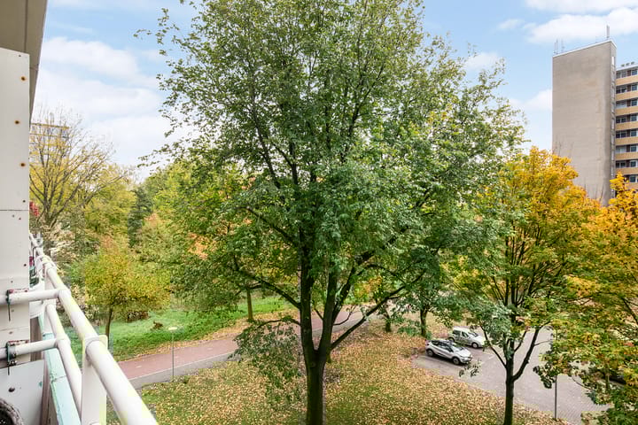 Foto 35 van Langswater 831