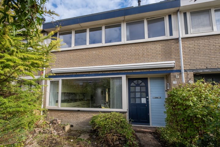 Foto 2 van Pieter de Hooghstraat 73