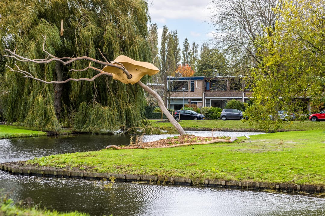 Foto 43 van Dr Sauerstraat 15