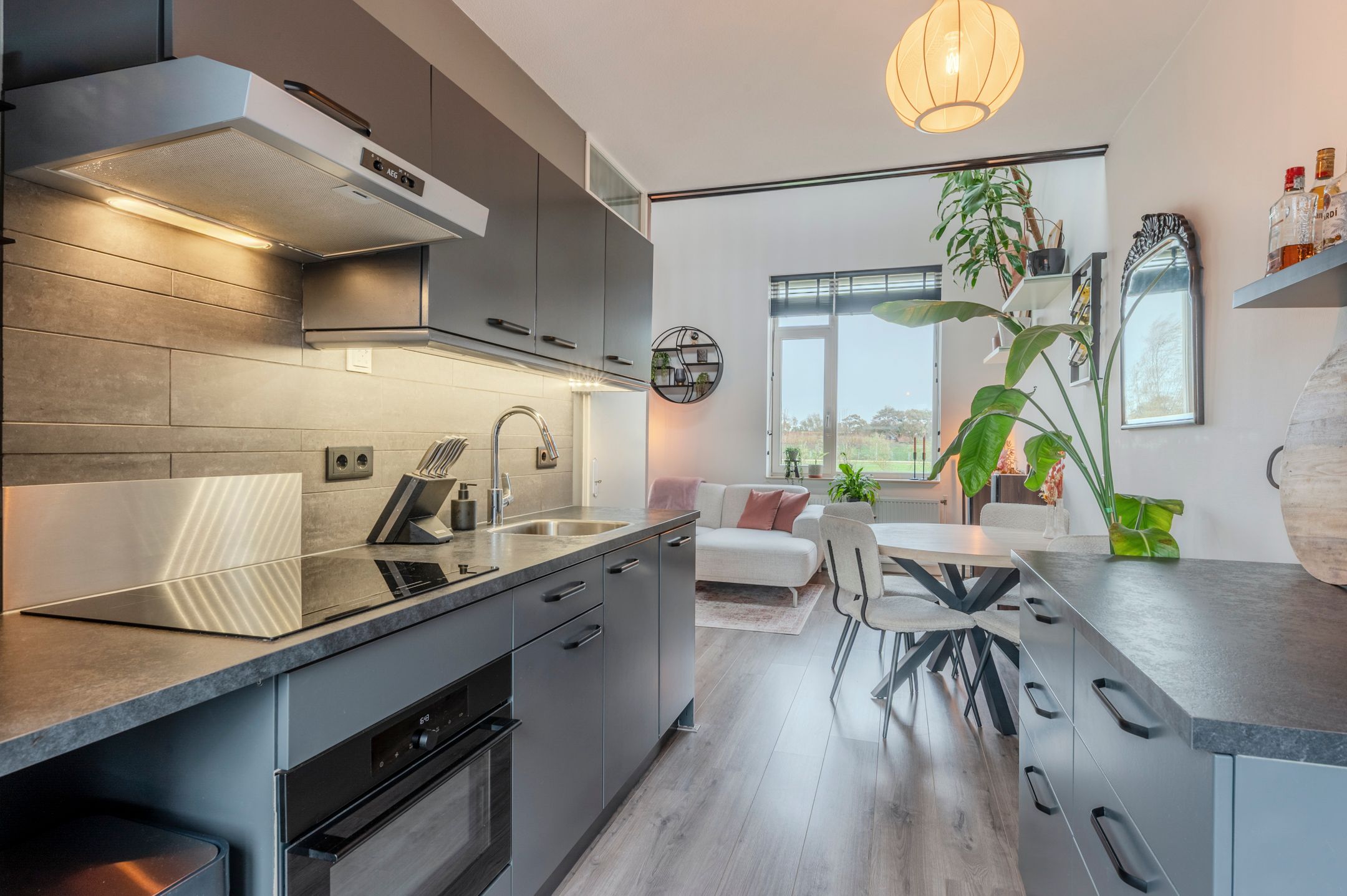 Foto 21 van Parnassia 389