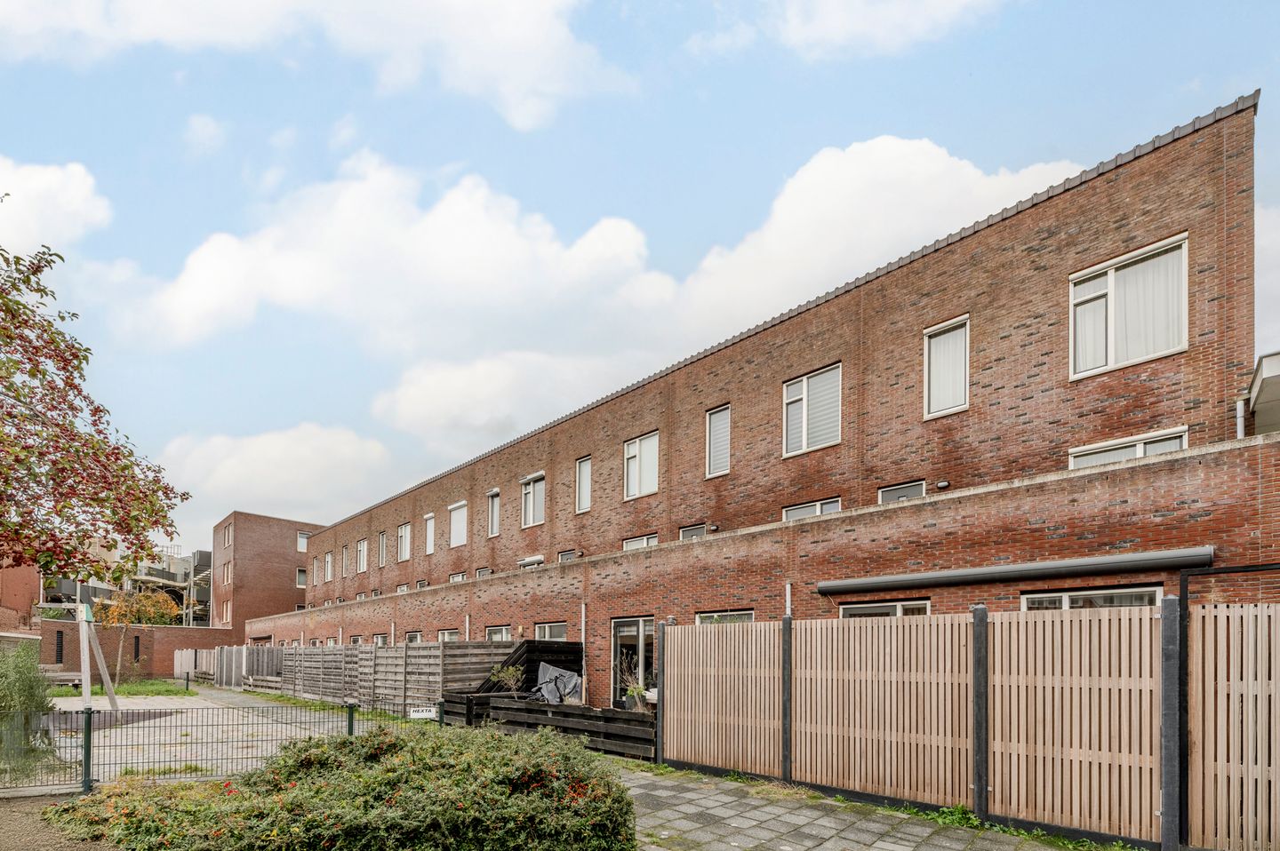 Foto 34 van Parnassia 389