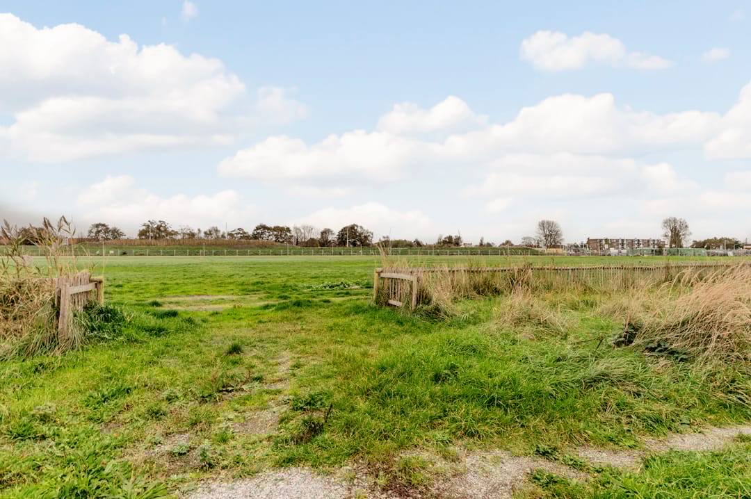 Foto 38 van Parnassia 389