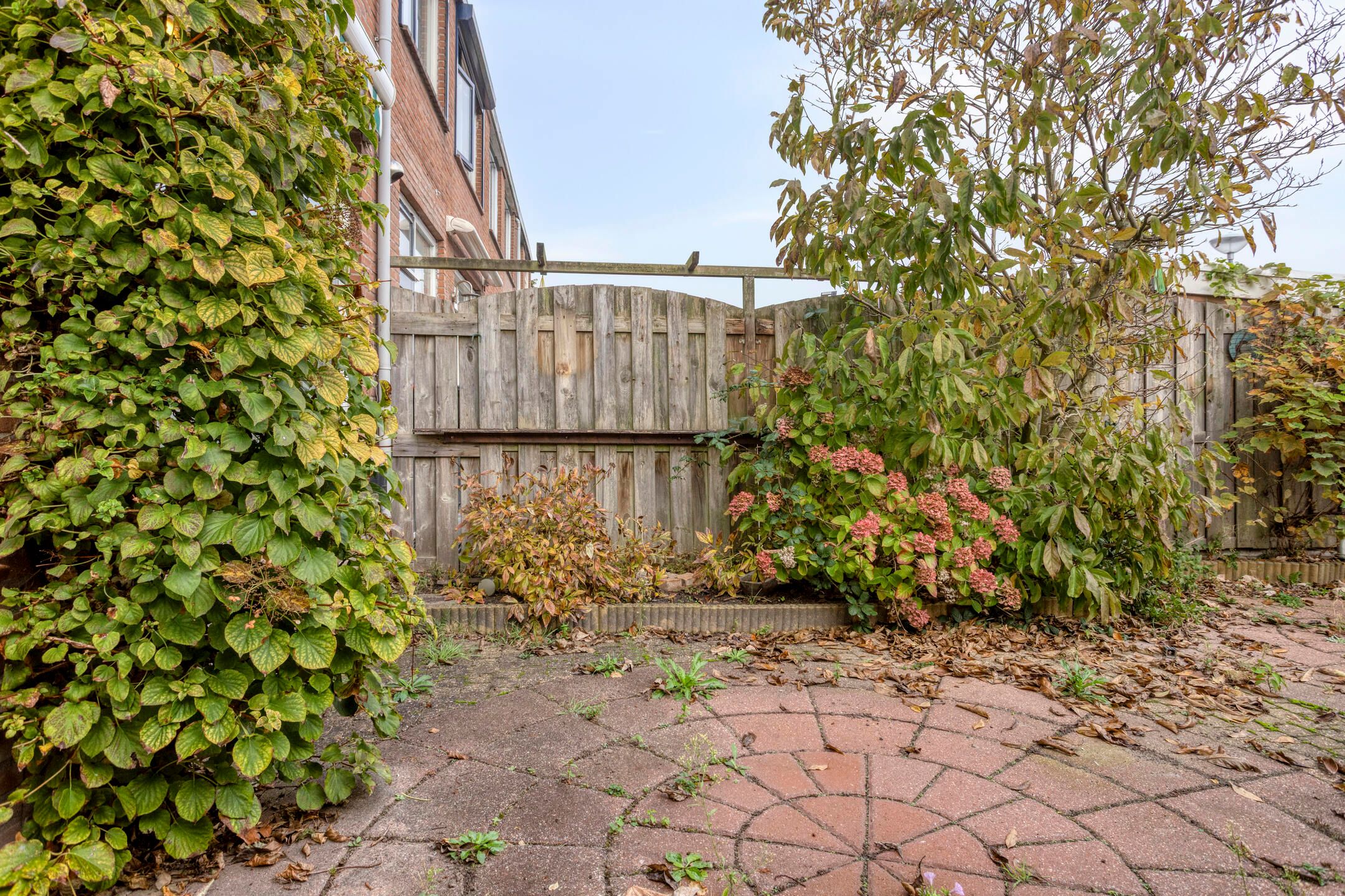 Foto 27 van Hoflaan 6