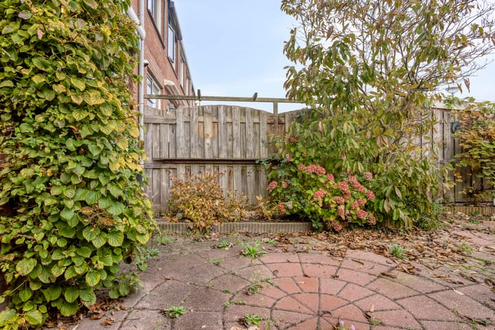 Foto 27 van Hoflaan 6