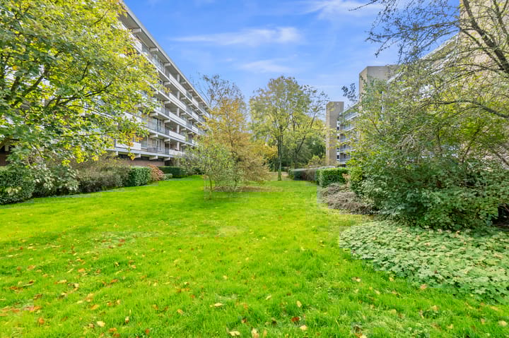 Foto 4 van Boerhaavelaan 211