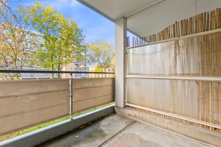 Foto 18 van Boerhaavelaan 211