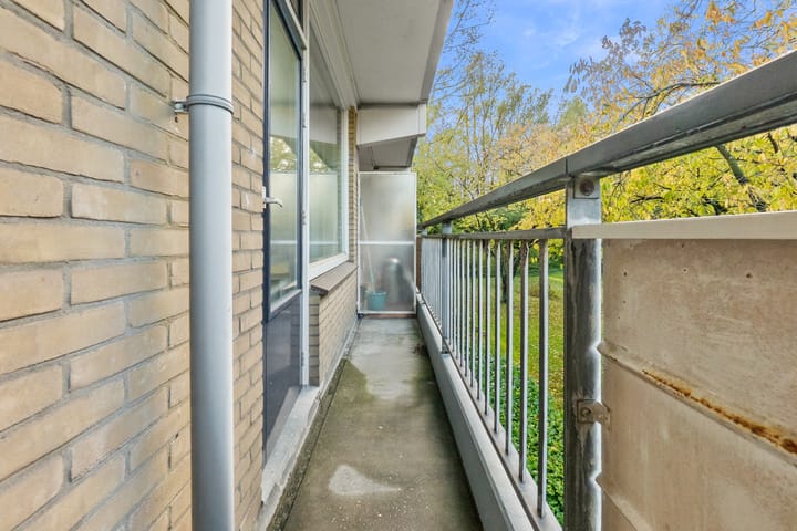 Foto 20 van Boerhaavelaan 211